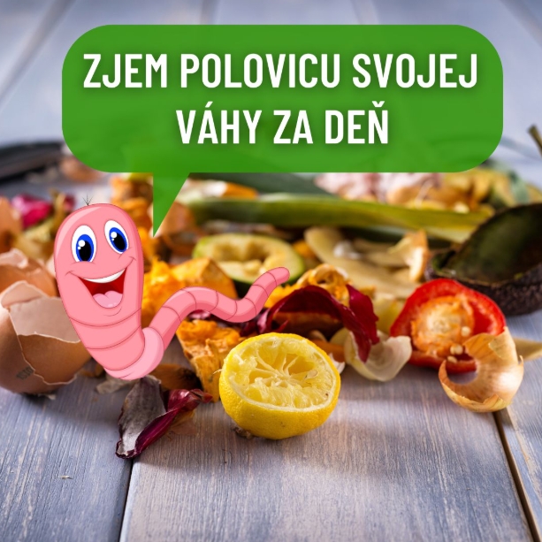 Kalifornské dážďovky - vermikompostovanie v záhrade